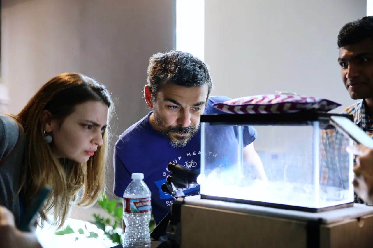 three people looking at an aquarium